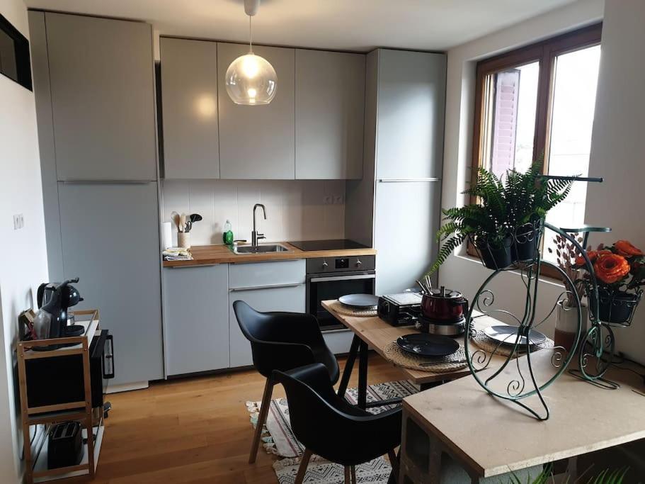 The Duplex Annecy Tgv; Vielle Ville Exterior photo